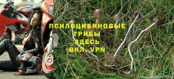 альфа пвп Кулебаки