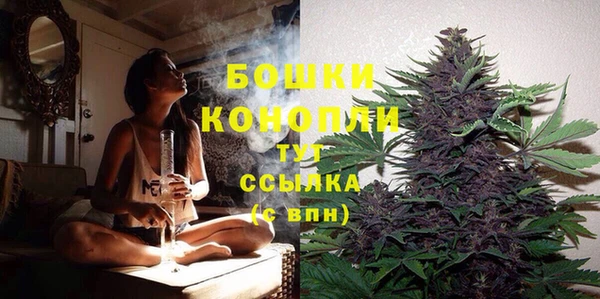 скорость Пересвет