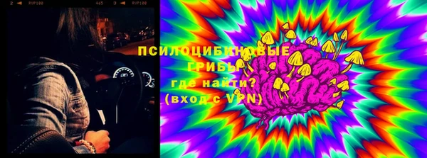 первитин Кукмор