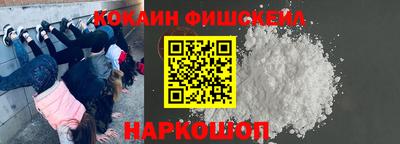 амф Камышлов