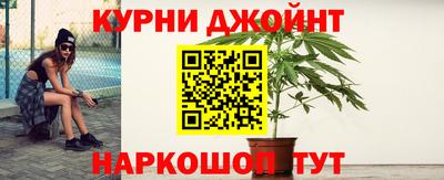 jwh Кингисепп